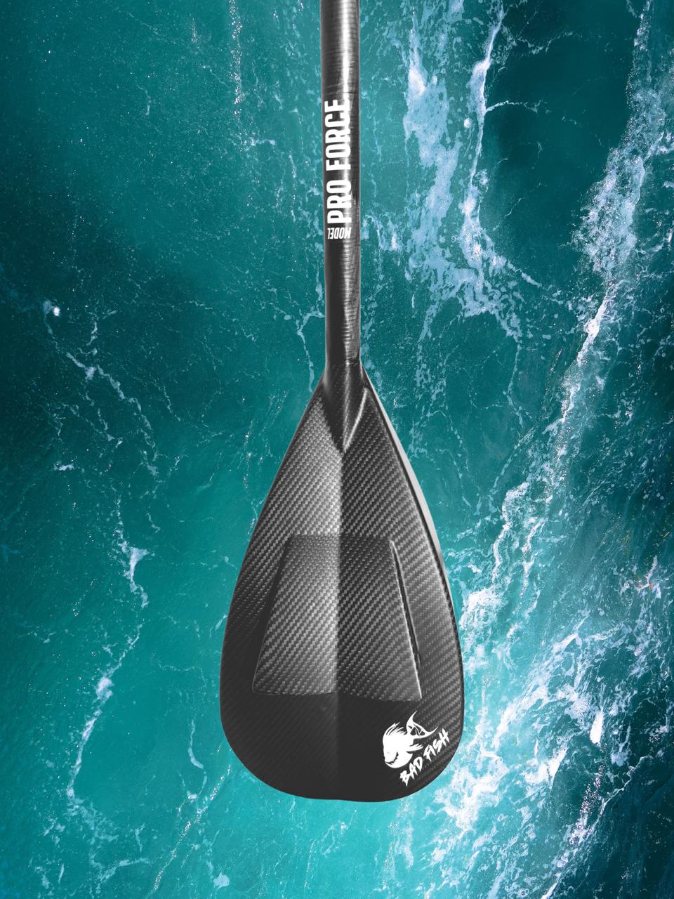 Pale Pro Force sur fond marin