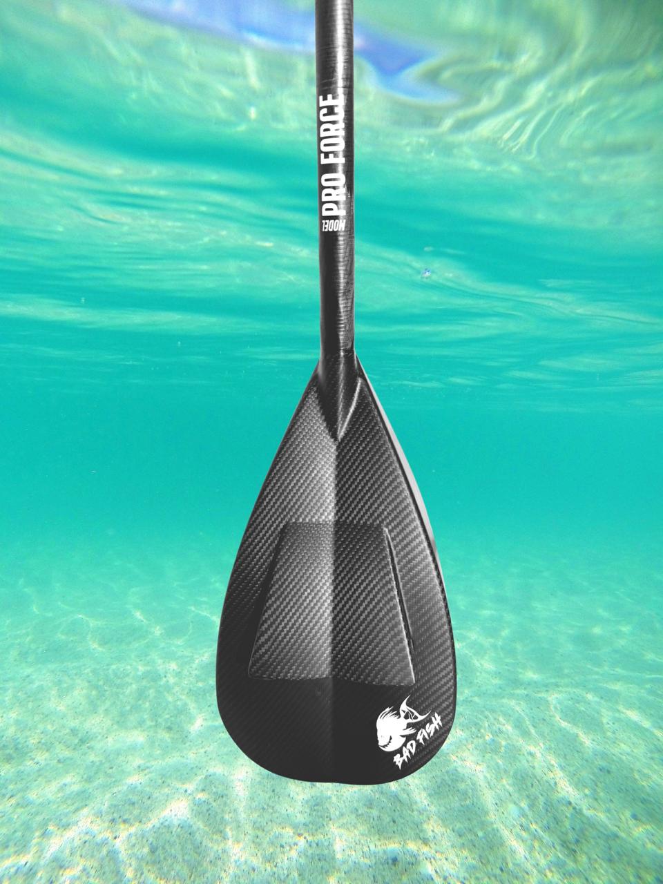 Pale Pro Force vue de face sous l’eau